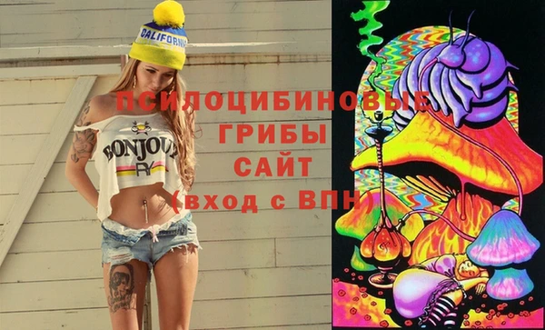 первитин Алексин
