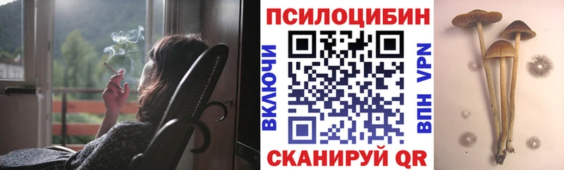 Галлюциногенные грибы Magic Shrooms  Калининск 